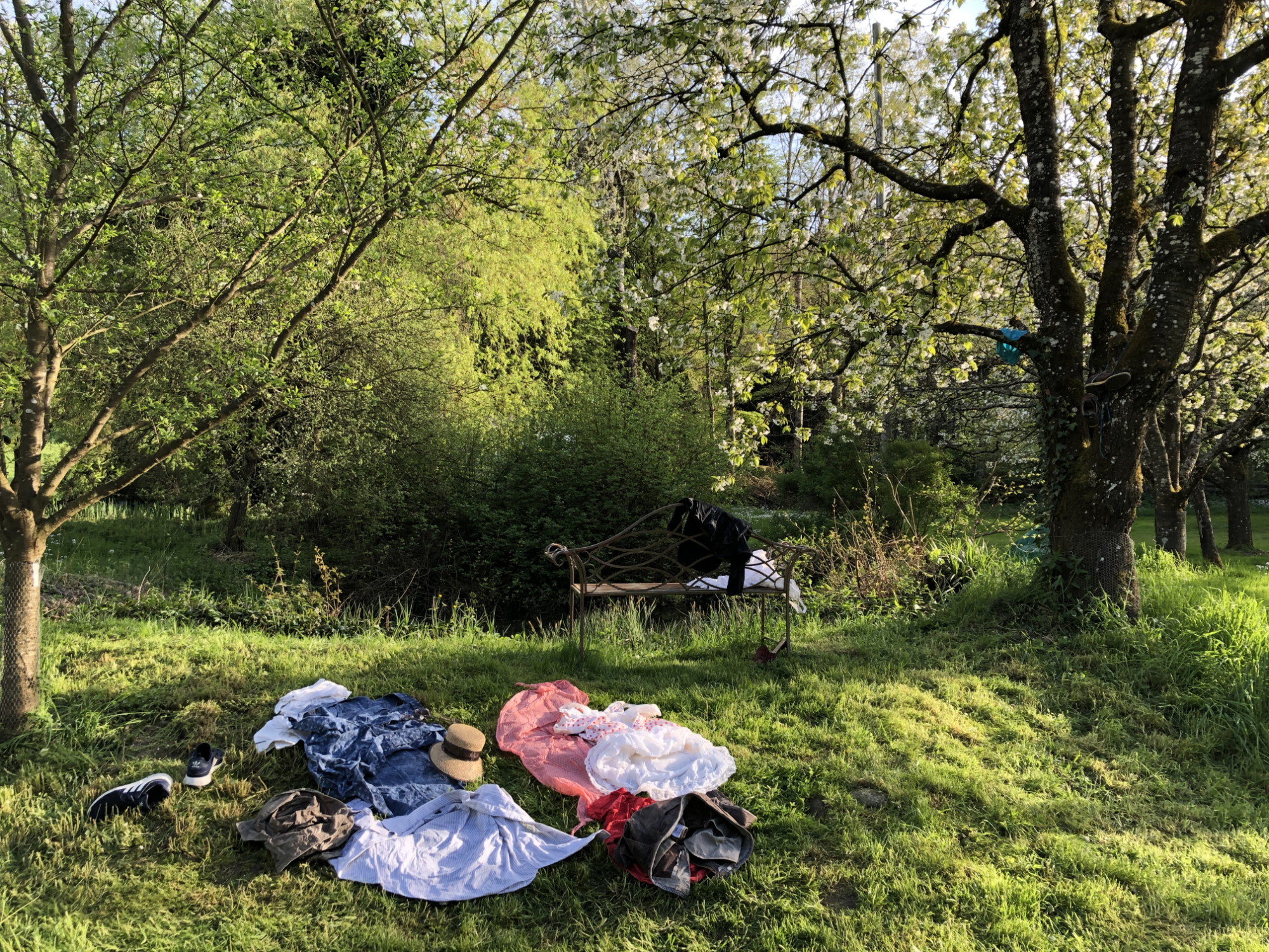 nature morte sur l'herbe